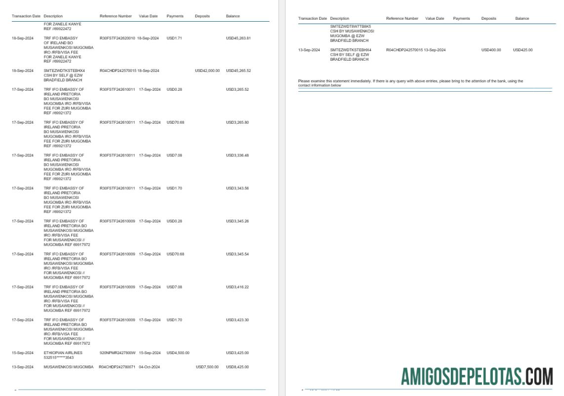 Zimbabwe Ecobank Bank Statement, 4 Pages 2 amostra